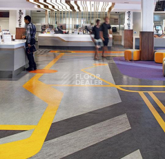 Forbo Marmoleum Decibel on Order 314635 serene grey фото 2 | FLOORDEALER